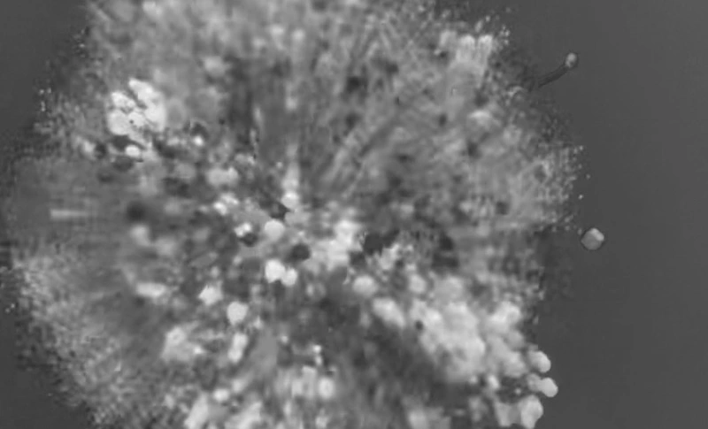 Feuerwerk in schwarz weiß als Zeichen der eher schwierigen Zeiten in 2024