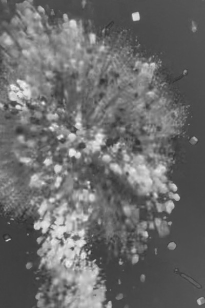 Feuerwerk in schwarz weiß, weil Herausforderungen im Artikel, betrachtet werden, Fortsetzung der Blog-Artikel zu meinem Fantasy Buch für Mädchen ab 12, einer Coming of Age Urban Fantasy Buchreihe