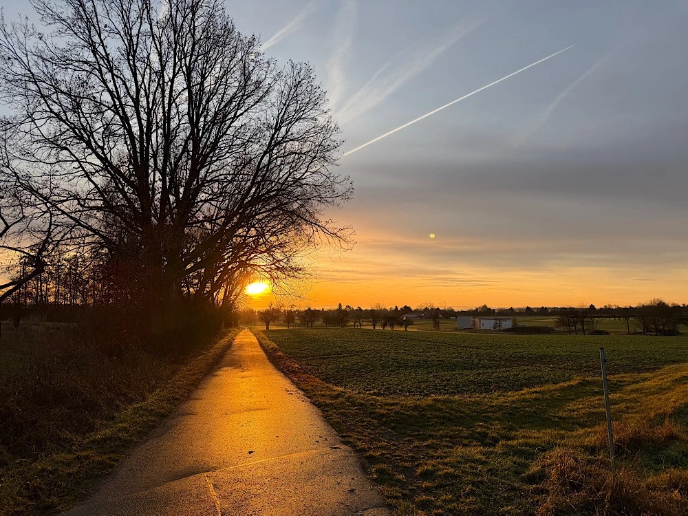 Sonnenaufgang strahlt einen nassen Weg golden an,